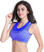 Load image into Gallery viewer, Blue / M Super High Impact Incredible Sexy Sport Wire Free Padded Work Out Sport Bra The Orange Tags
